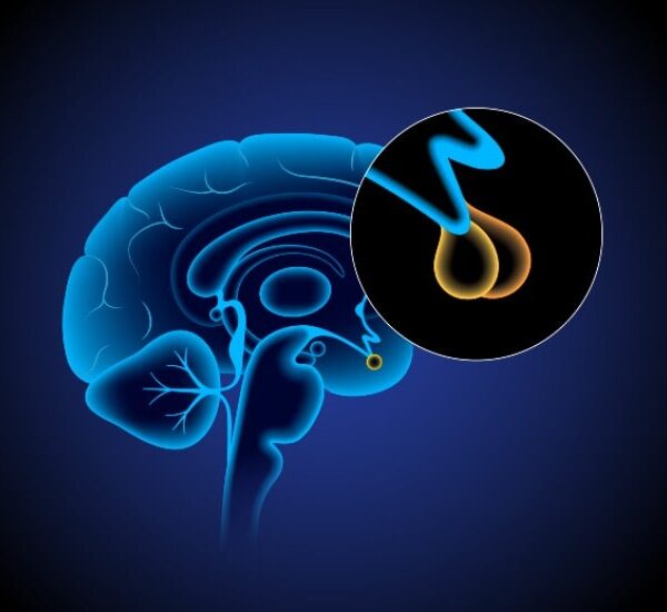 Tratamiento Hipofisis Endocrinologo Quito Dra. Karina Aguirre-min